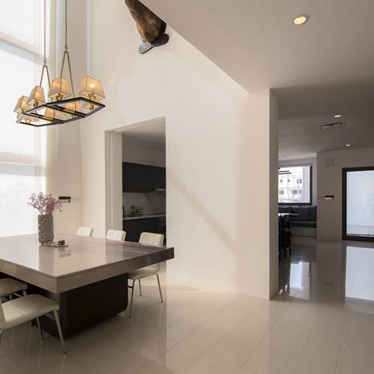 Project Gallery Image