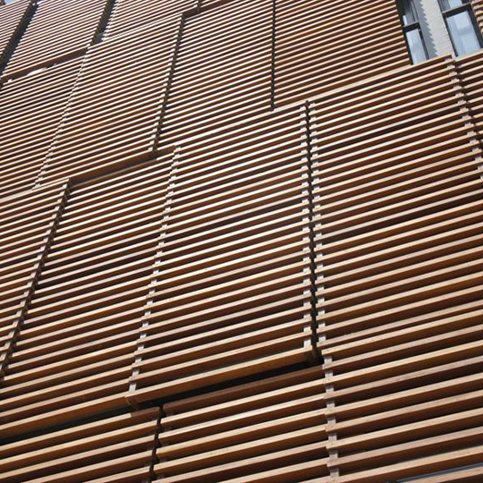 Project Gallery Image