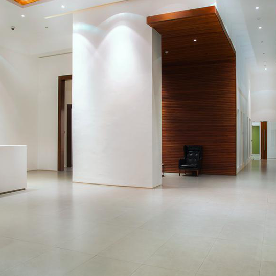 Project Gallery Image