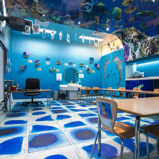 Project Gallery Image