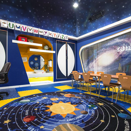 Project Gallery Image