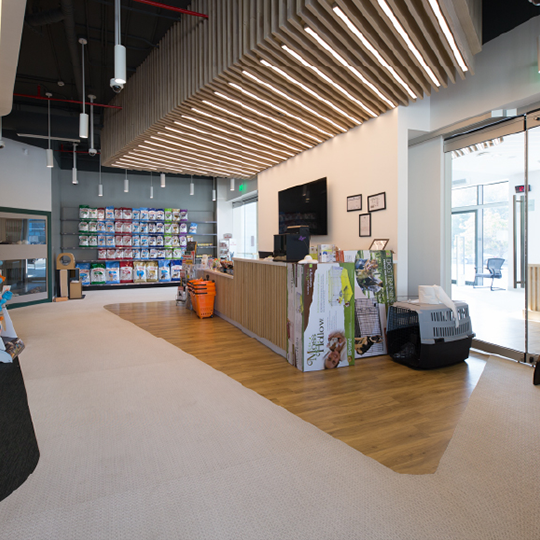 Project Gallery Image