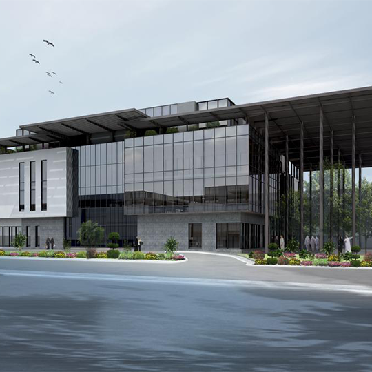 Project Gallery Image