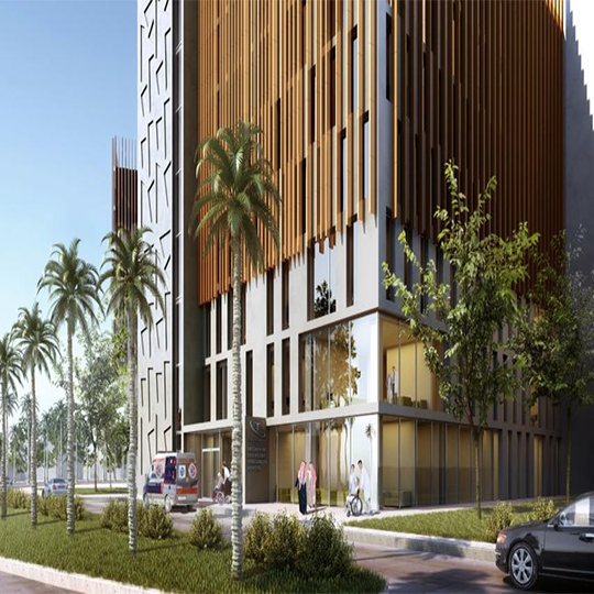 Project Gallery Image