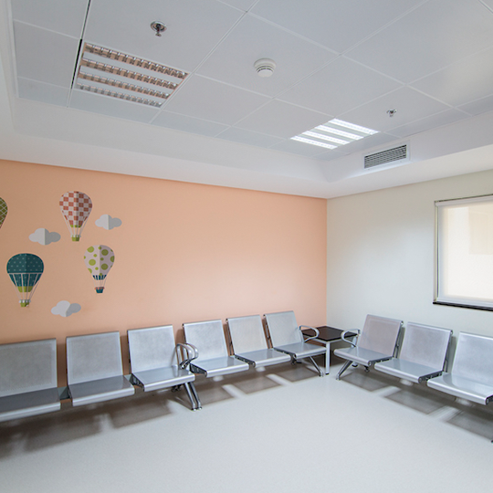 Project Gallery Image