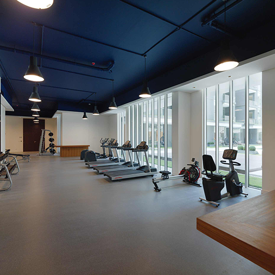 Project Gallery Image