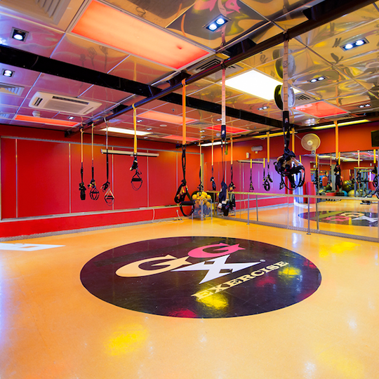 Project Gallery Image