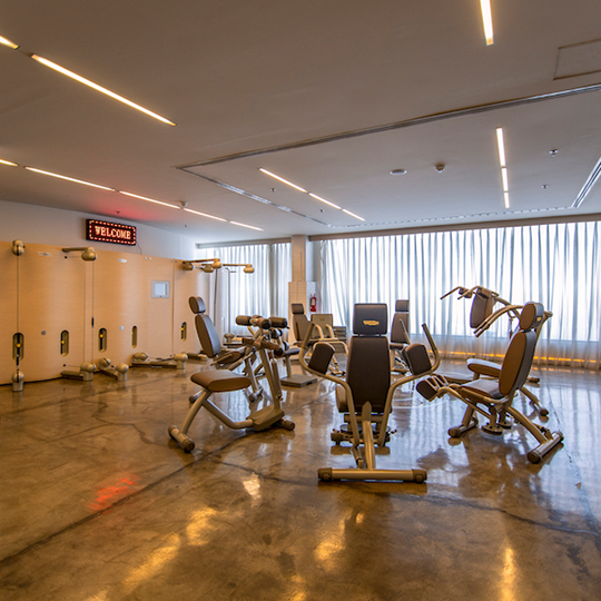 Project Gallery Image