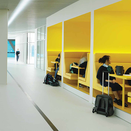 Project Gallery Image