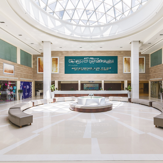 Project Gallery Image