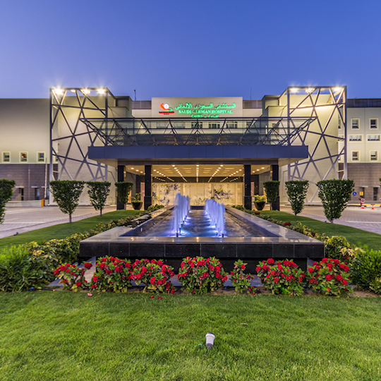 Project Gallery Image