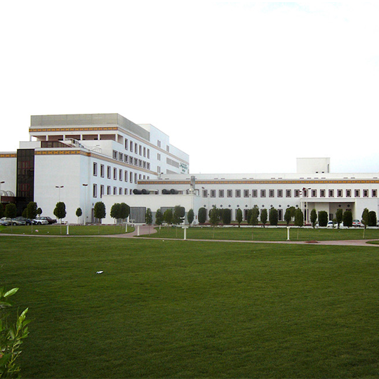 Project Gallery Image