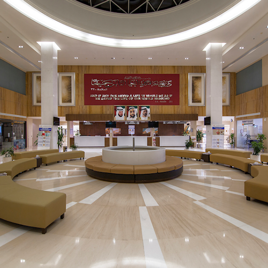 Project Gallery Image