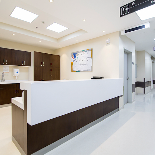 Project Gallery Image