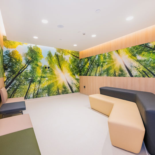 Project Gallery Image