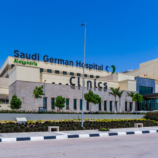 Project Gallery Image