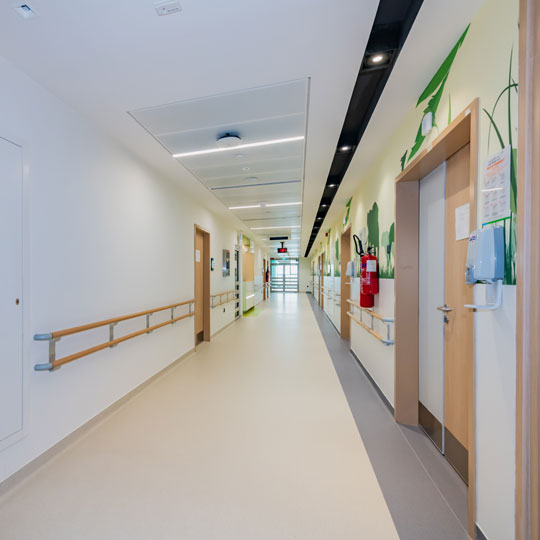 Project Gallery Image