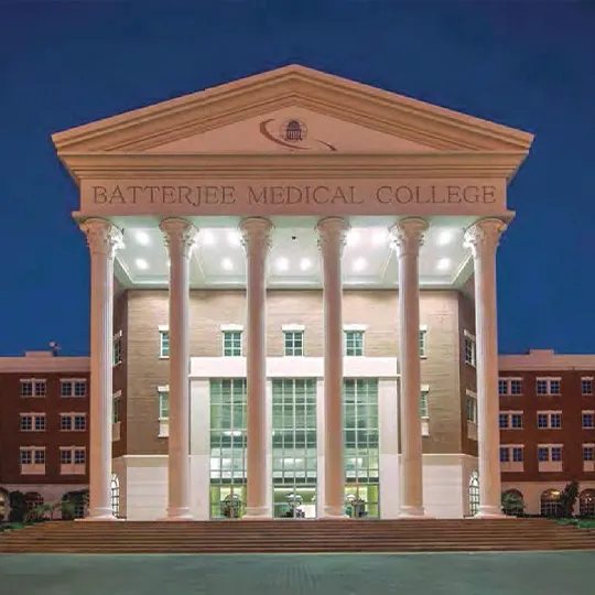 Project Gallery Image