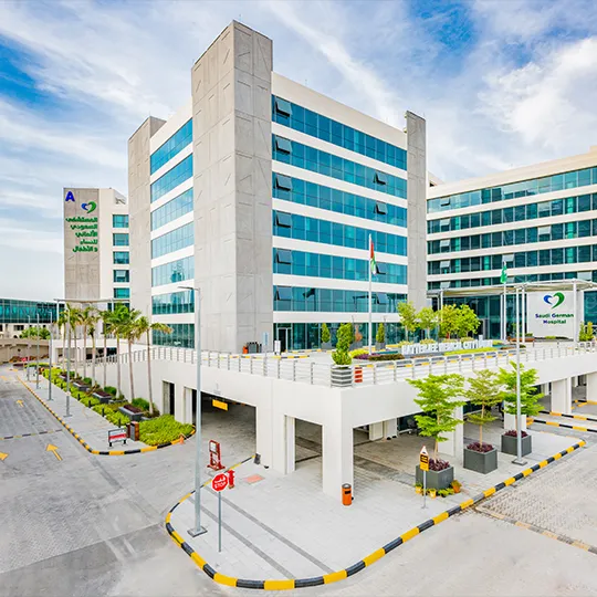 Project Gallery Image