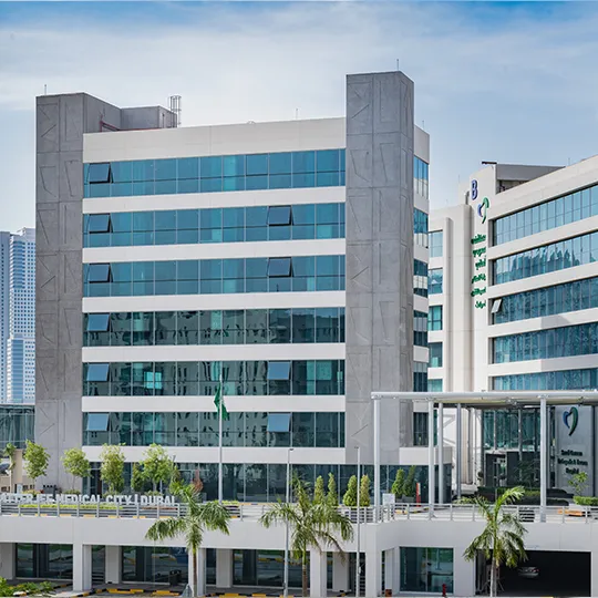 Project Gallery Image