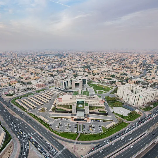 Project Gallery Image