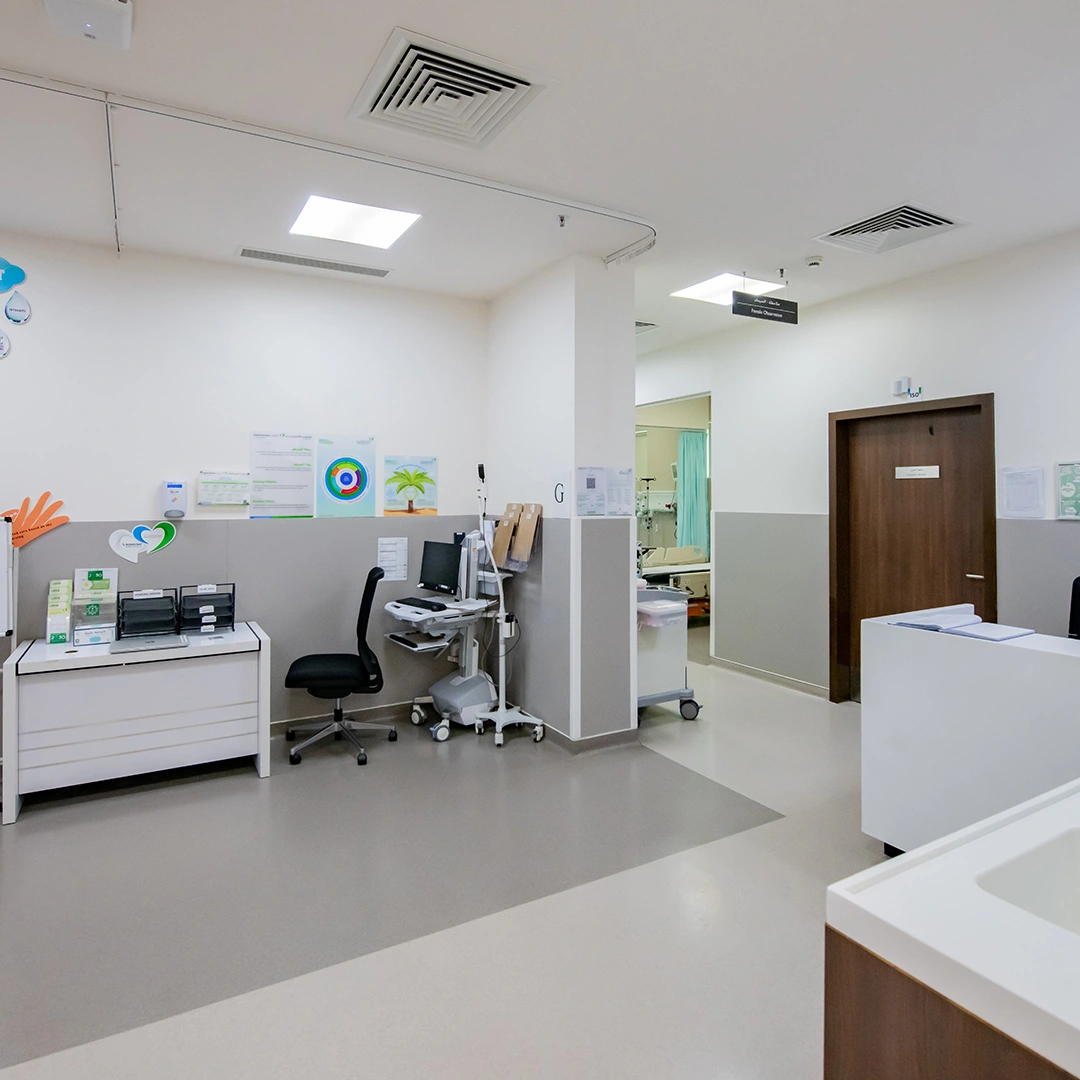 Project Gallery Image