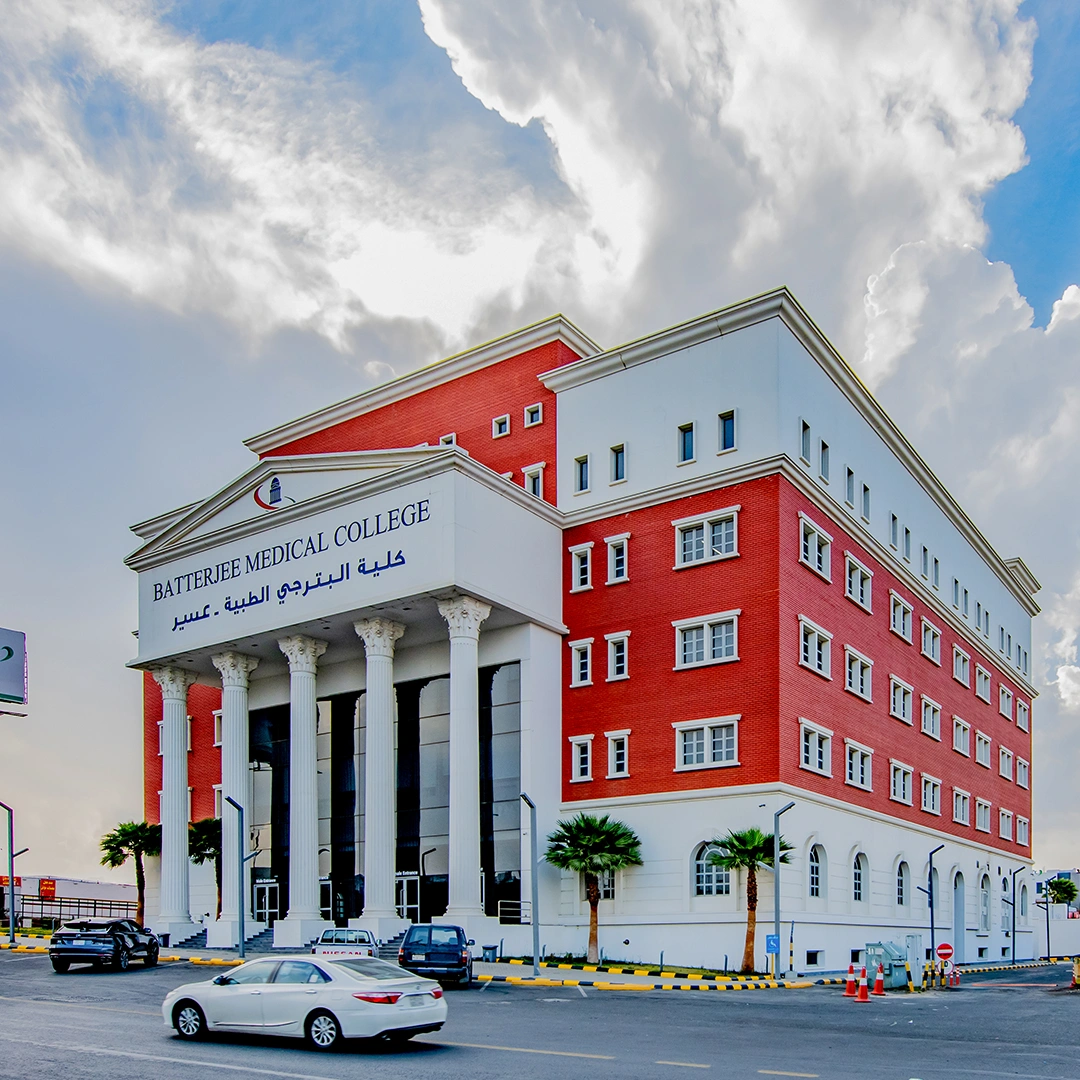 Project Gallery Image