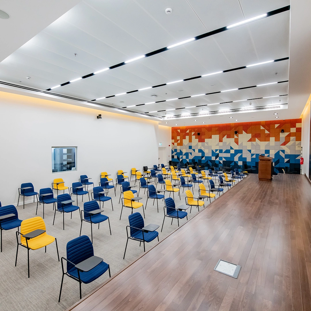 Project Gallery Image