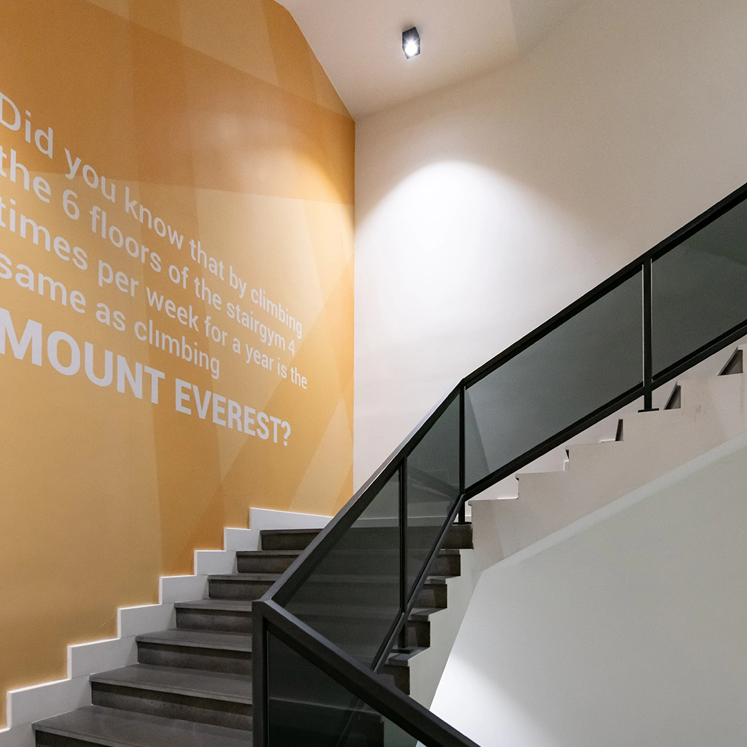 Project Gallery Image