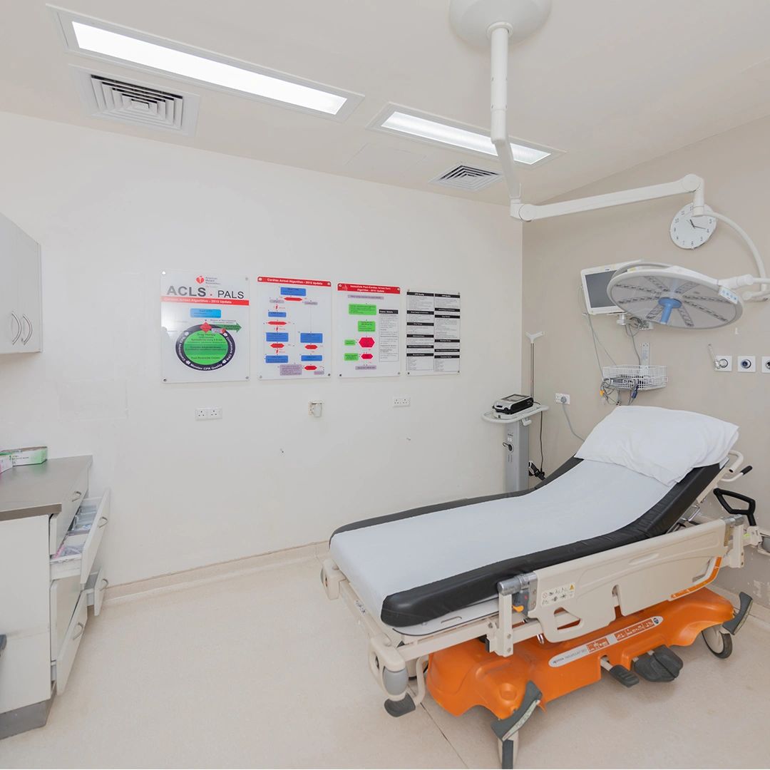 Project Gallery Image