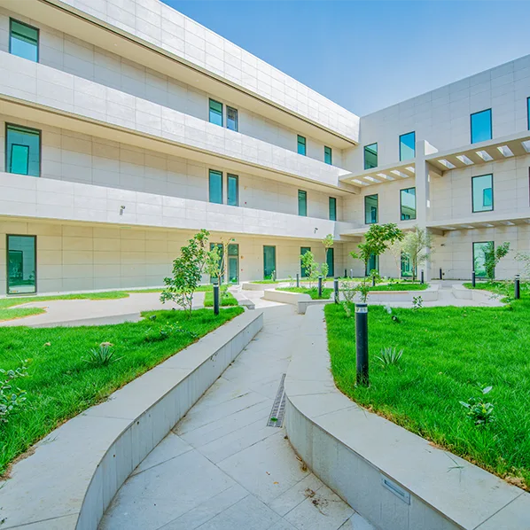 Project Gallery Image