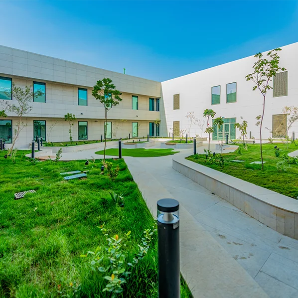 Project Gallery Image